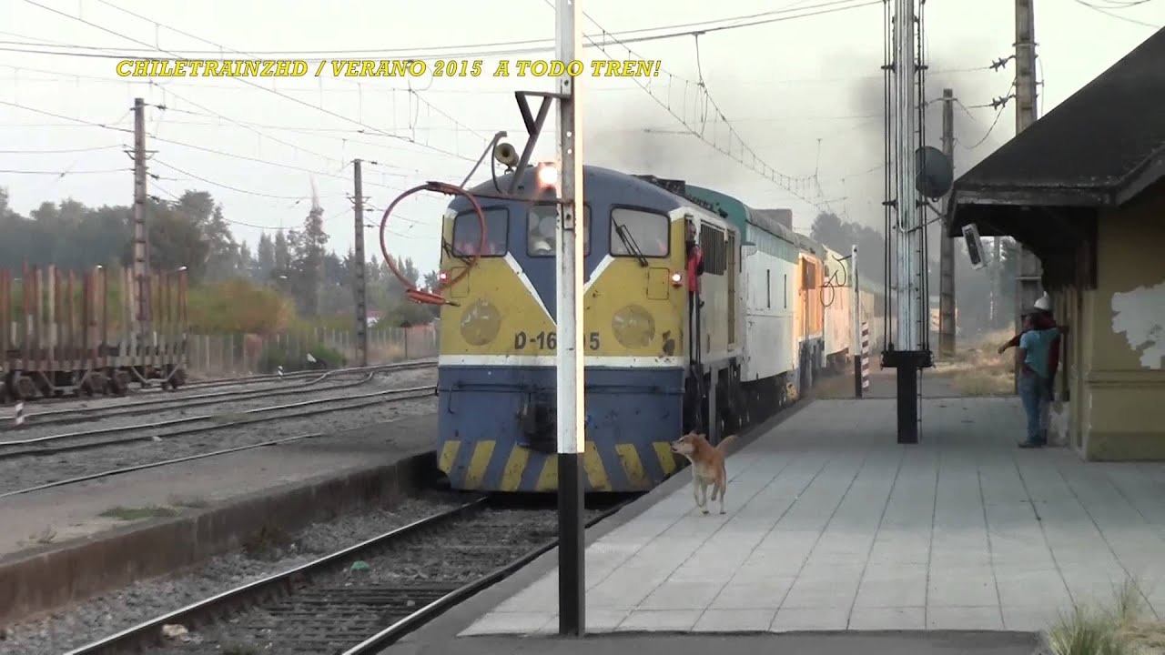 D 16005 + TREN TERRASUR TEMUCO pasando por COIGUE + TOMA DE ARO