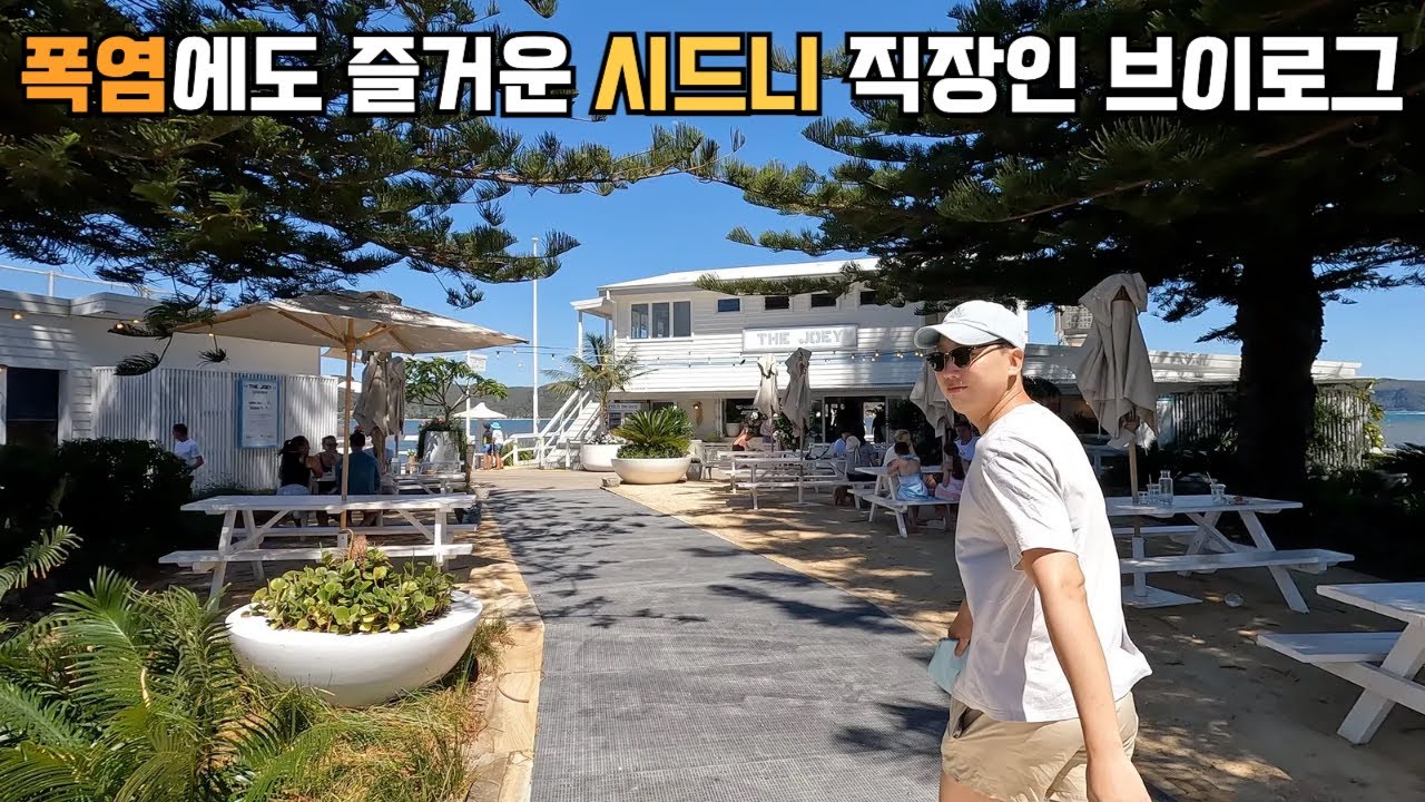 [호주 시드니 vlog] 폭염 속에서도 즐겁게 사는 시드니 직장인 브이로그 | 바다 가고 야외 시네마에서 영화 보고 맛집 가서 먹고 마시는 로컬 회사원 여름 일상