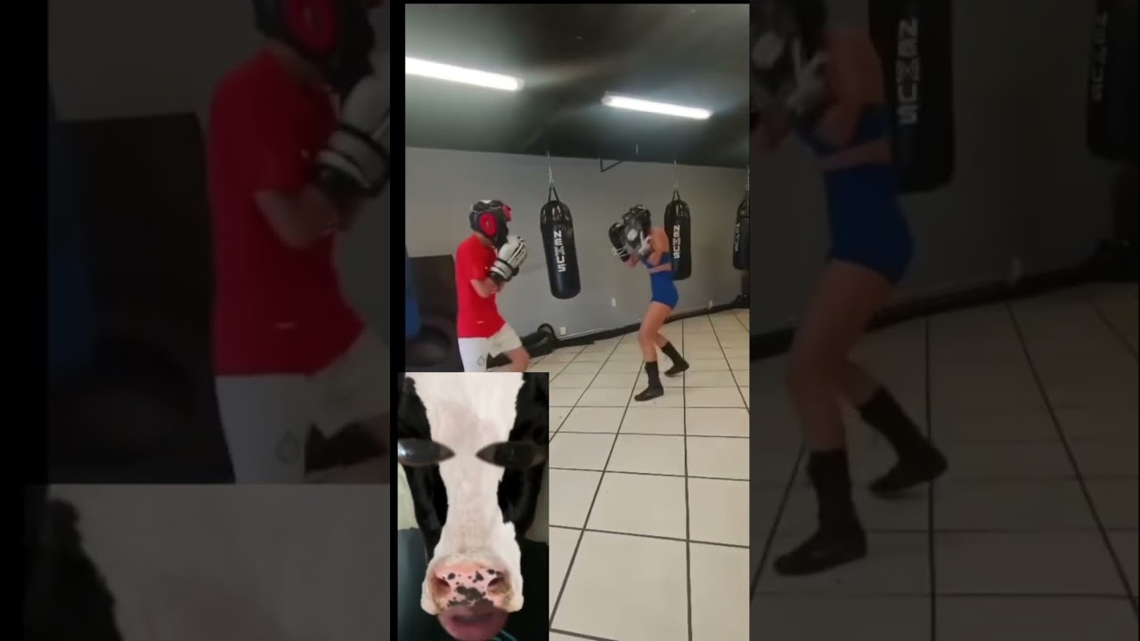 Como cuando ya sabes que te van a dar hasta para llevar 🥊