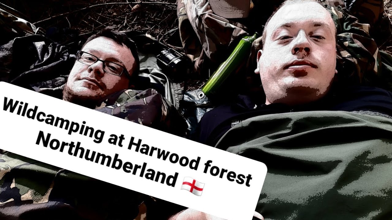 Wildcamping at Harwood forest 🏴󠁧󠁢󠁥󠁮󠁧󠁿