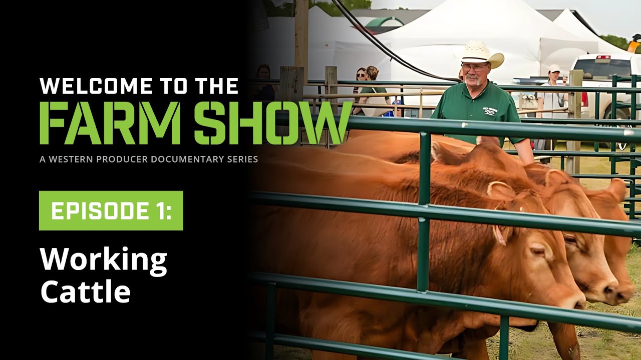 Working Cattle - Episode 1 | Welcome to the Farm Show | A Western Producer Documentary Series