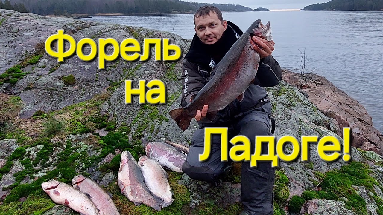ГИГАНТСКАЯ ФОРЕЛЬ в ЛАДОЖСКИХ ШХЕРАХ!😱ЛОВИМ БЕГЛЯНКУ на БОМБАРДУ!