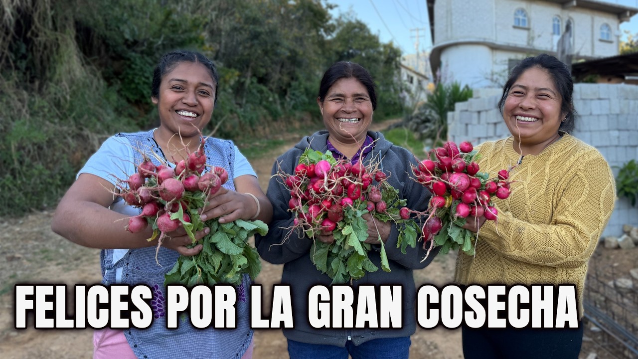 Salimos por a cosechar rábanos de la madre tierra; siempre nos alimenta