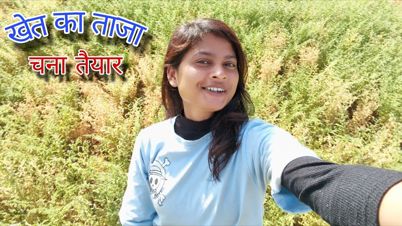 चना भाजी खाने तो आये Nahi Atleast चना होरा खाने ही आ जाओ 😋