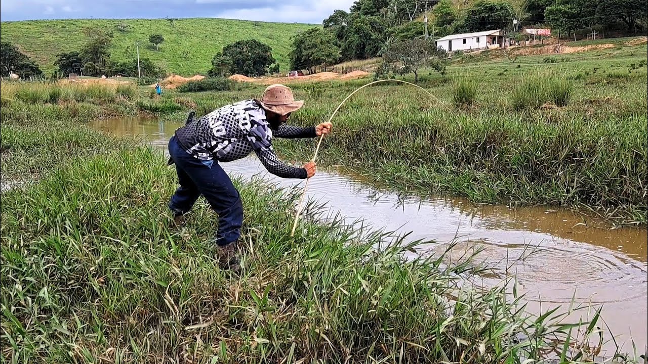 Aqui tem peixes gigantes! Peguei um gigante na varinha de bambu, o maior da minha vida