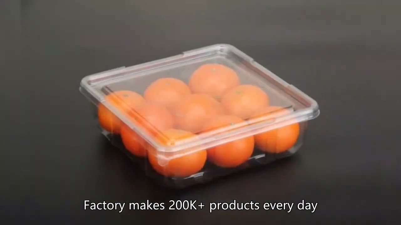 plastic food container,disposable bowl,Disposable Cups,High Quality, Factory, Price