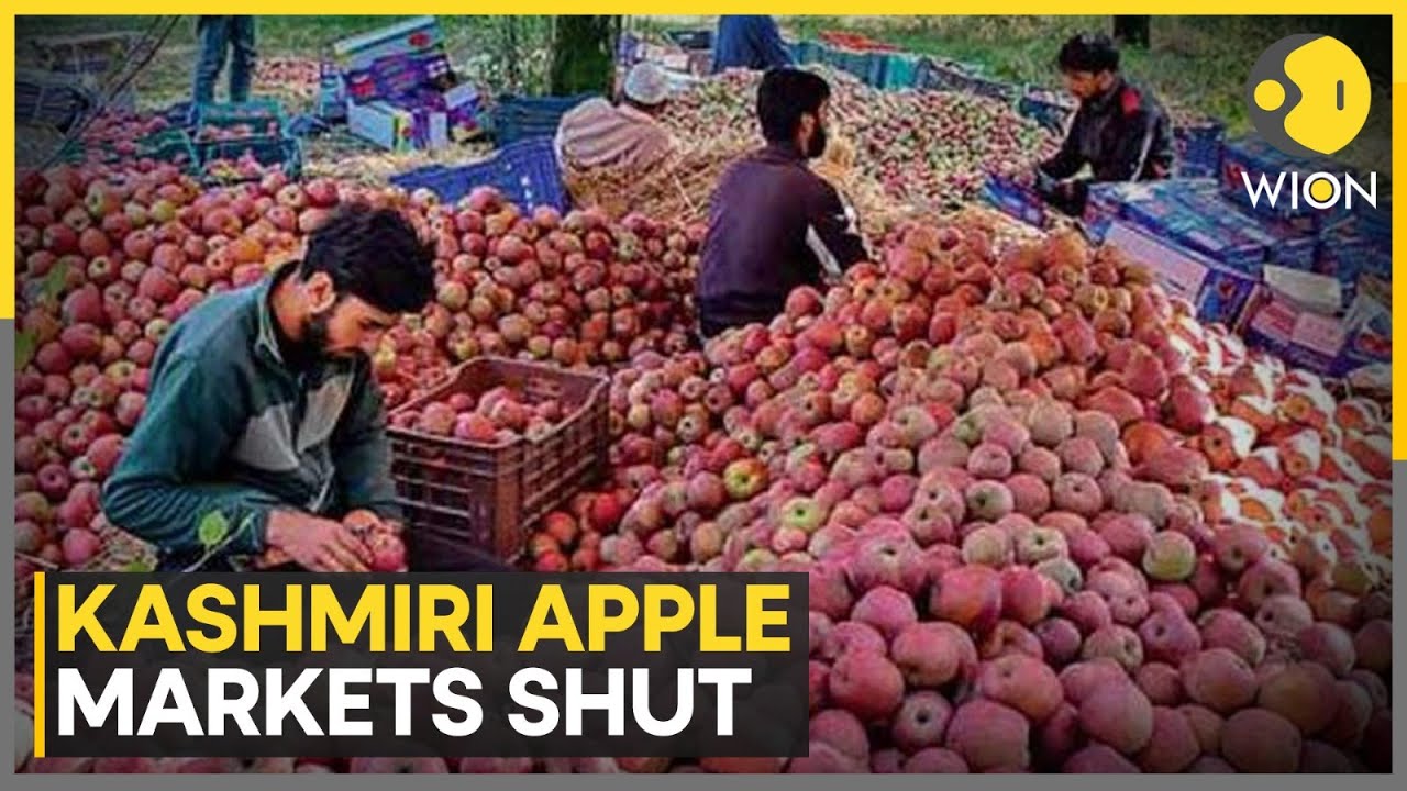 Srinagar-Jammu Highway Closure Cripples Apple Trade | Wholesale Fruit Markets Shut for 2 Days | WION