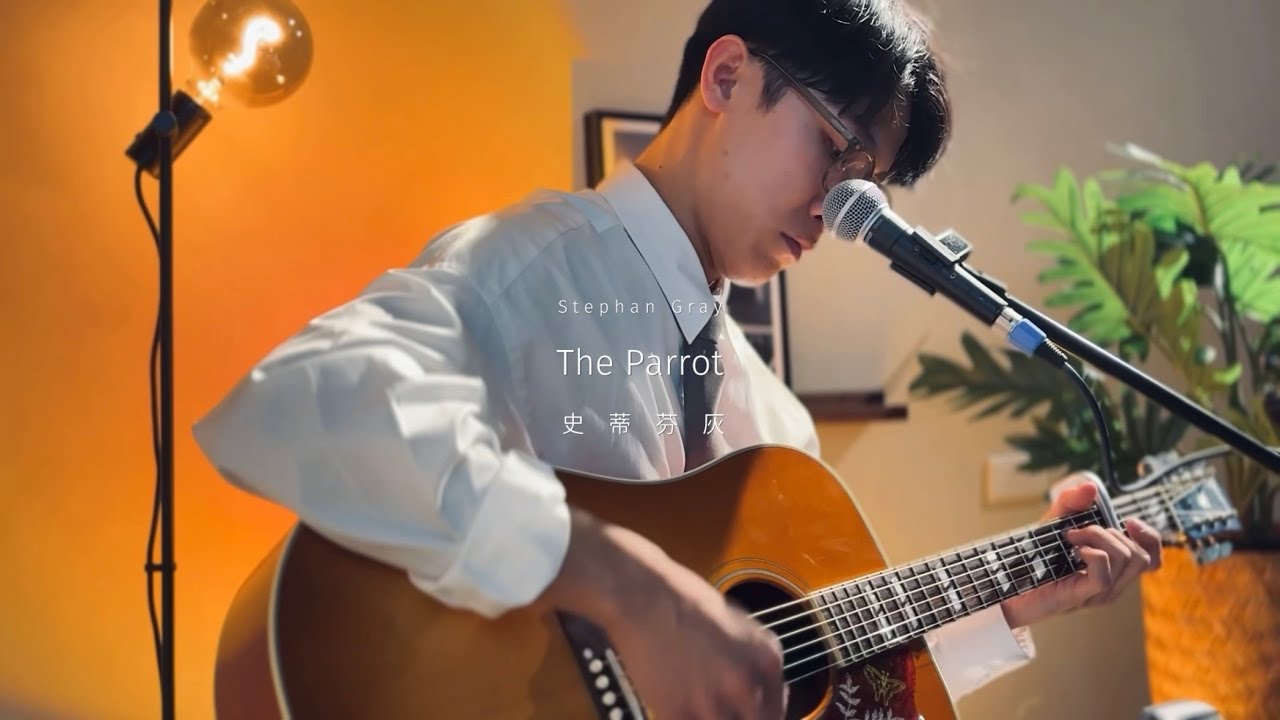 史蒂芬灰《The Parrot》｜沙發聽音樂