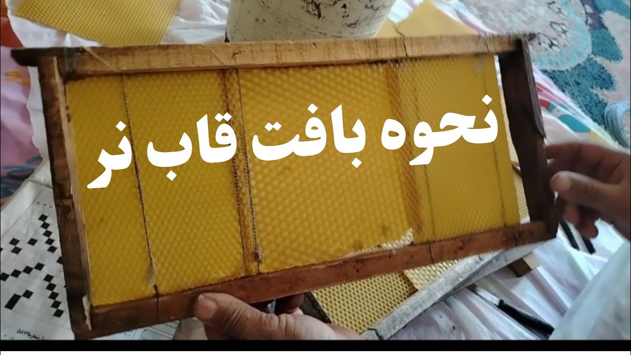 بدون نر قوی، ملکه خوب نداشته باش! راز نرسازی حرفه‌ای