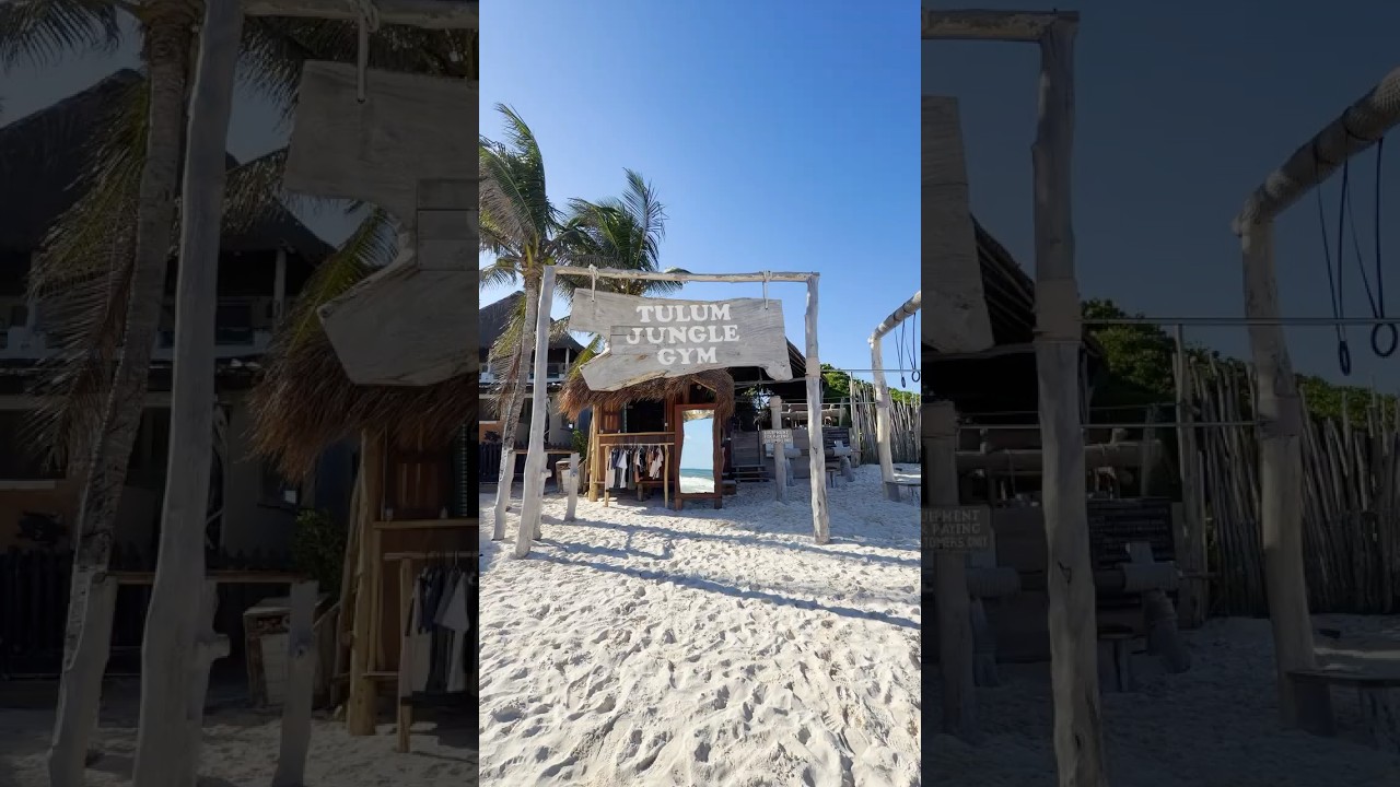 Jungle Gym Tulum 💪🦍🌴  