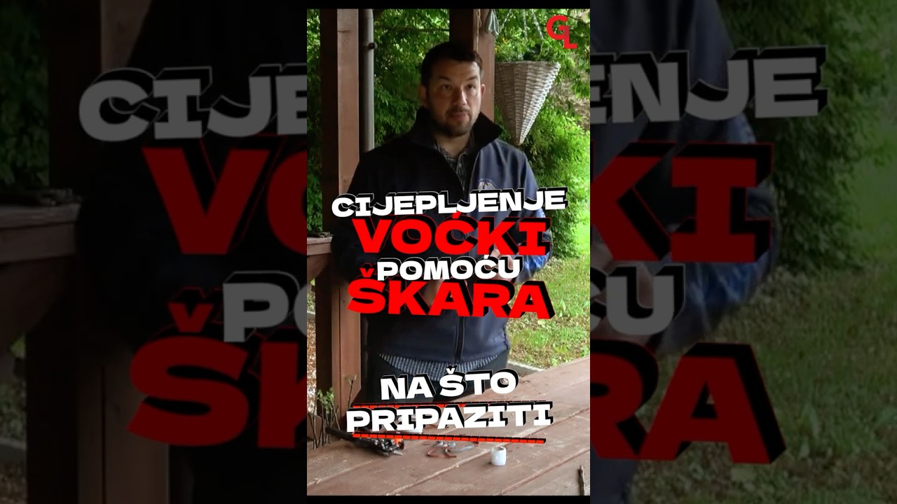 💡Cijepljenje voćki pomoću &scaron;kara   na &scaron;to pripaziti