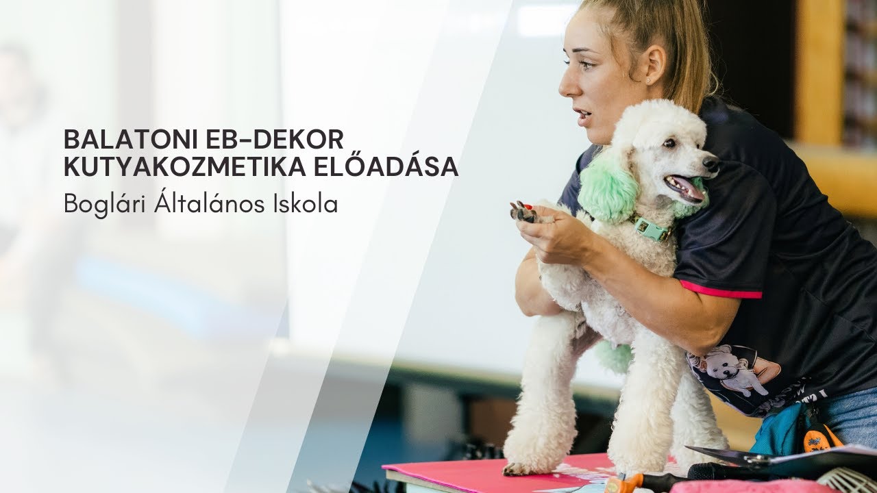 Balatoni Eb-dekor Kutyakozmetika előadása | Boglári Általános Iskola 2025.