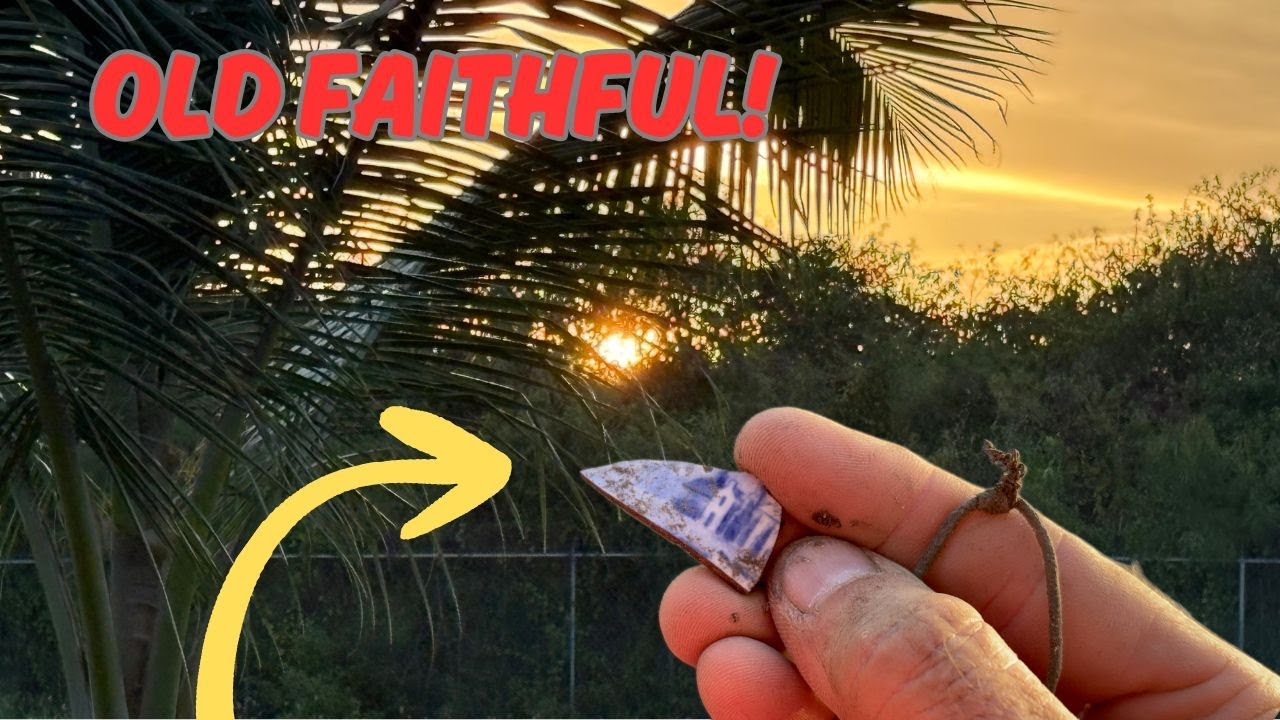 V is for five!  Metal detecting with the XP Deus II