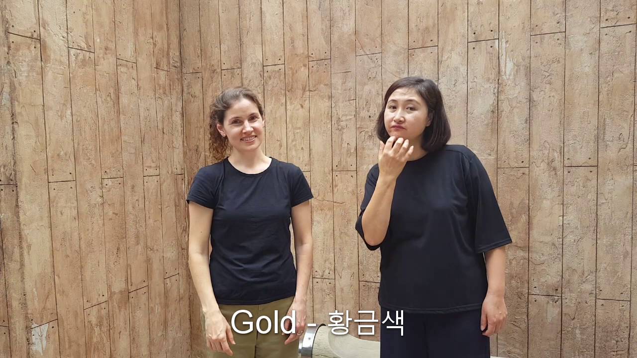 Susan & Eunsun Chapter 4 American & Korean Sign Languages