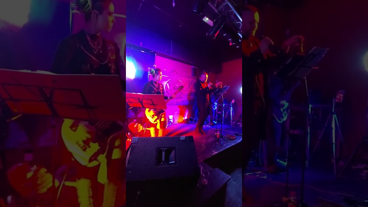 Veins of Mercury - Enjoy the Silence Cover Live