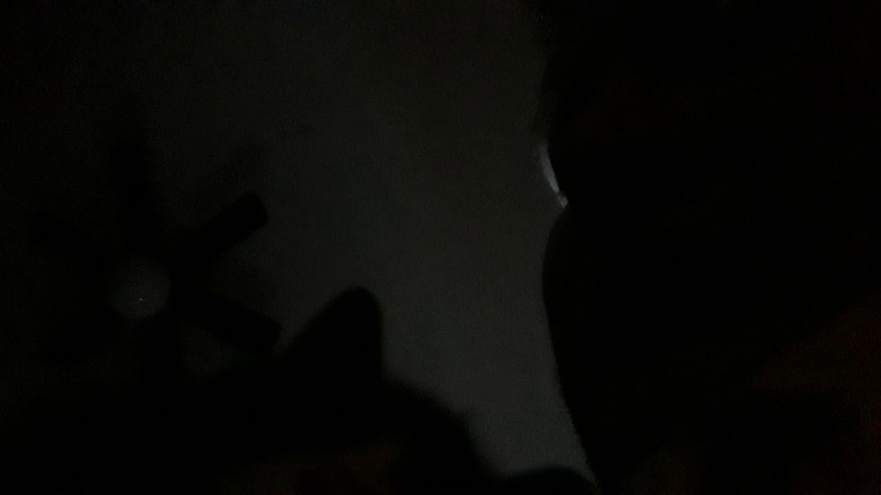 catnick