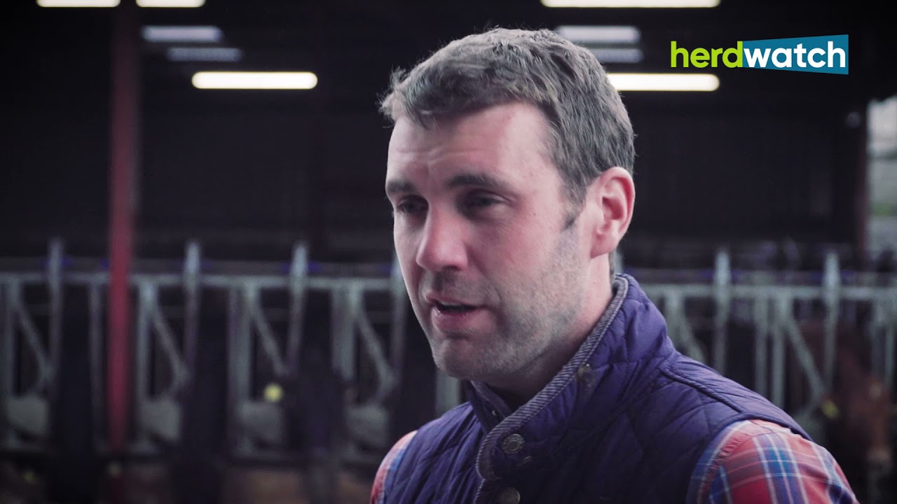 Farm Smart: Technology driving success on this Suckler farm in Co. Tyrone