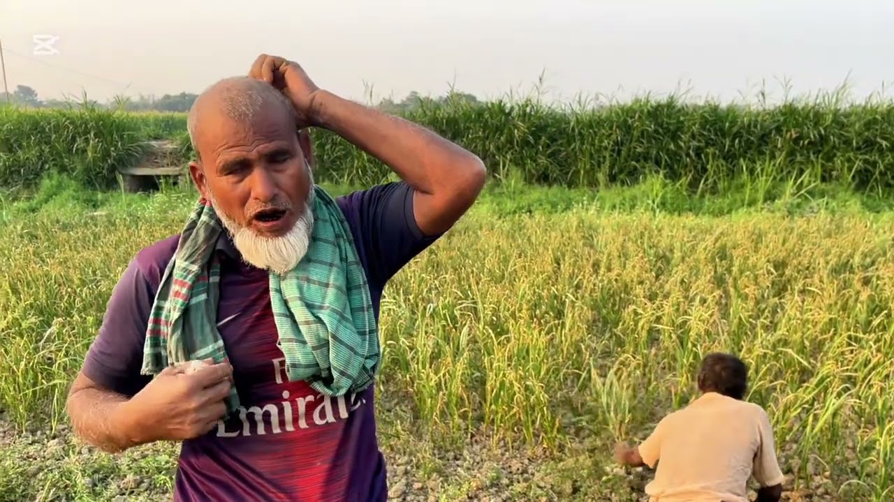 # ফরিদপুর জেলার বেশ কিছু রোসন চাষীদের সাথে সরাসরি কথা হলো।