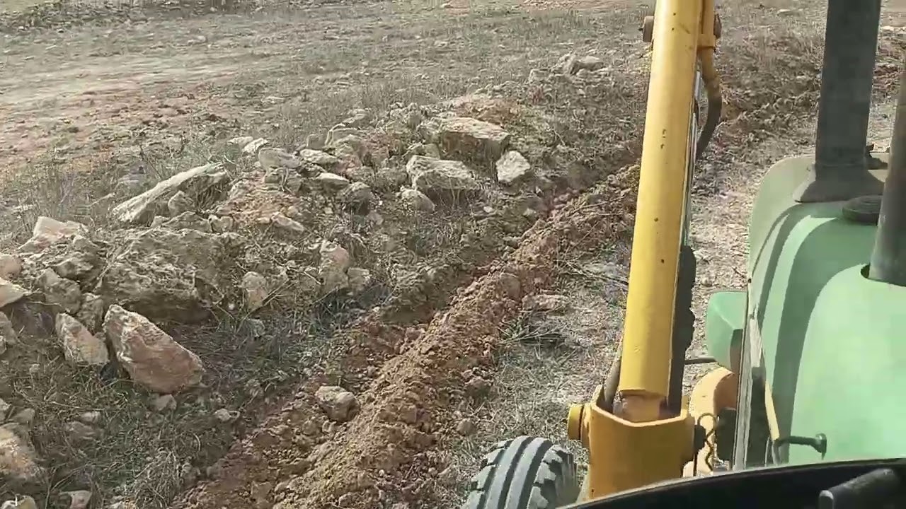 Imposible combatir los conejos que duros que son