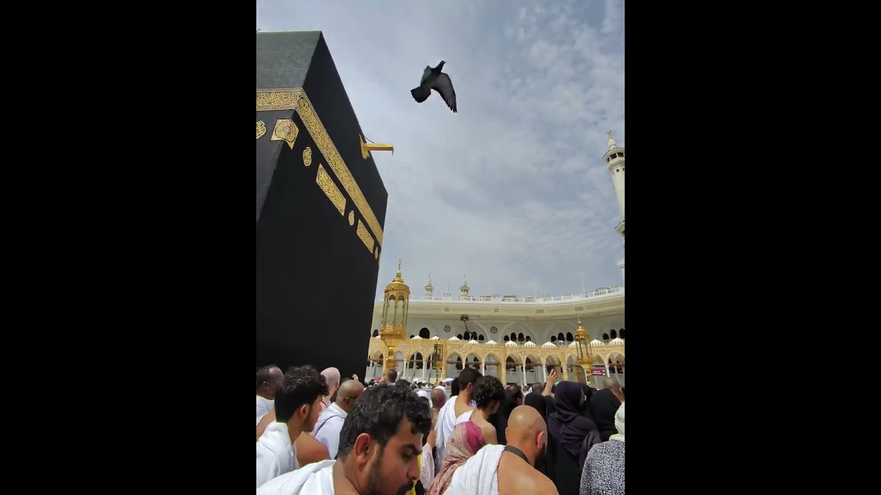 الحمدلله 