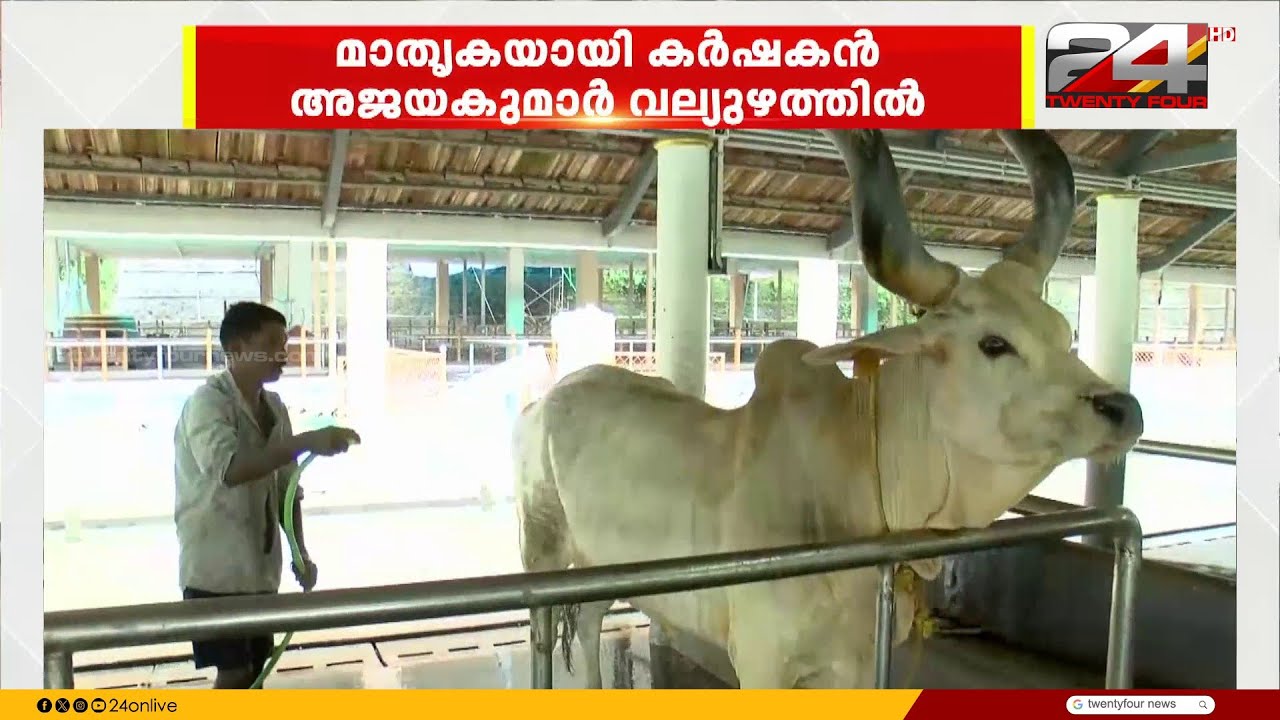 Different breeds of cows from Kashmir to Kanyakumari; Amritadhara Goshala, Pullad, Pathanamthitta