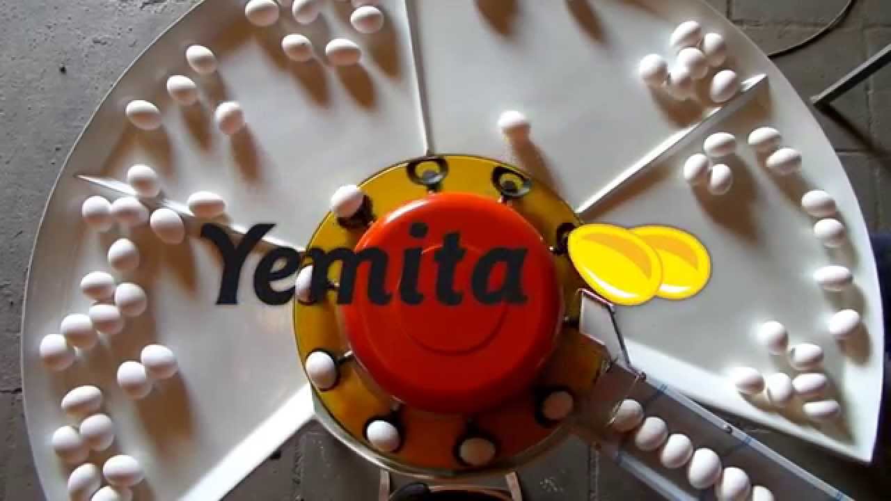 Clasificadora de Huevos Yemita