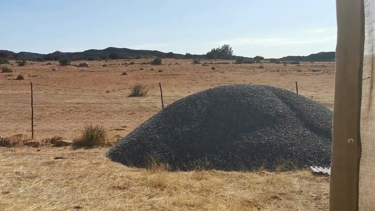 Pesach 2024 / Vordering op die plaas De Kuilen, Kamieskroon.