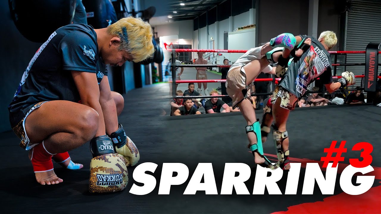 Pure Action Muay Thai Sparring – Superlek in Brookvale Sydney 🇦🇺🥊 Ep3