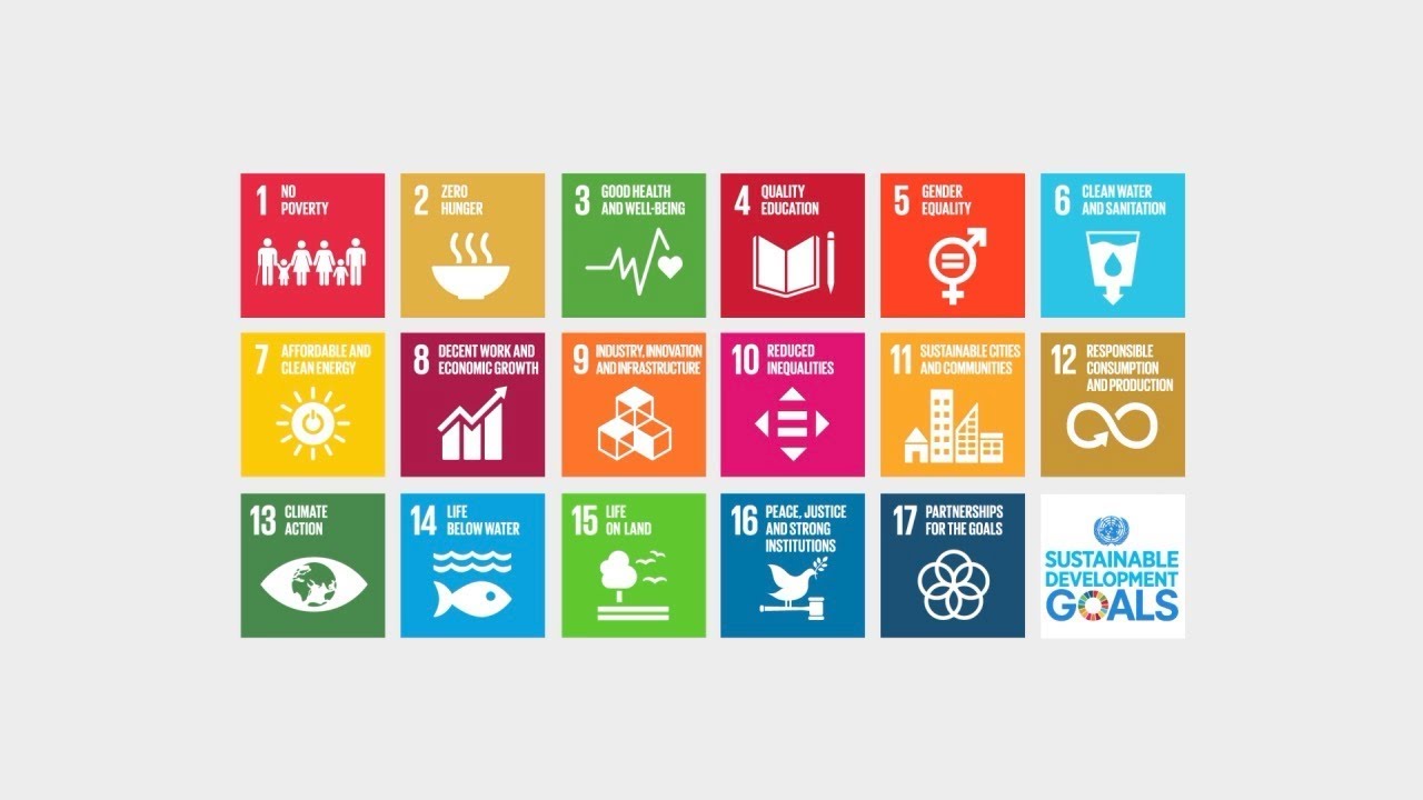 This is how the UN moves the SDGs from paper to practice.