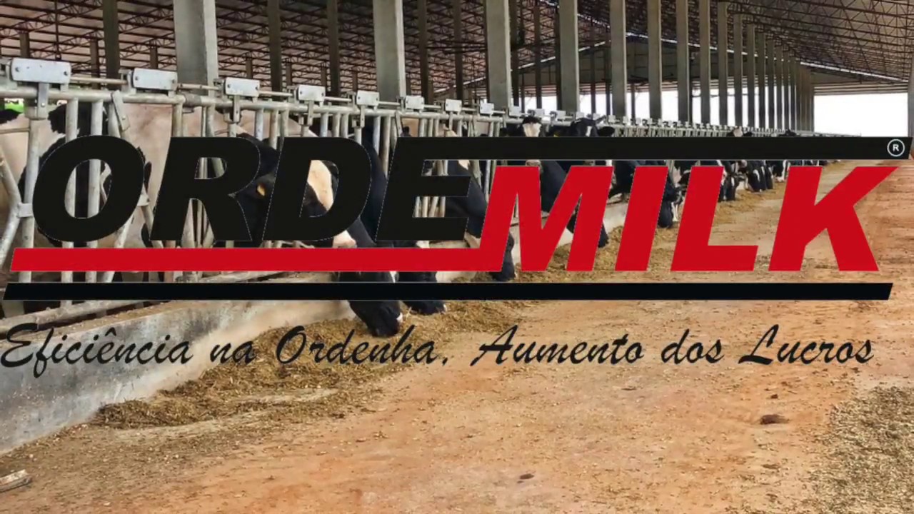 Fazenda Jose Serber