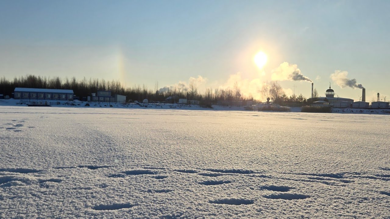 Зимняя прогулка