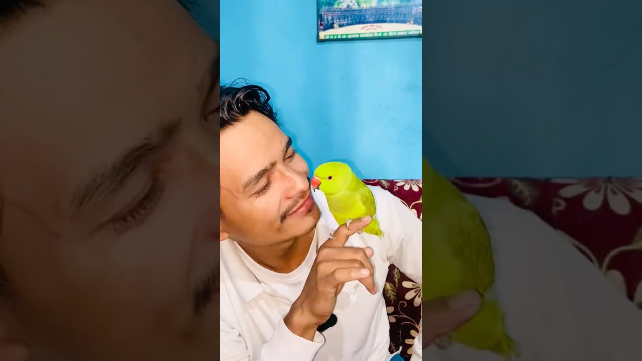 Ghanti 🛎️ vs Mato 🧱 | Nepal Election Comedy 😂🦜 