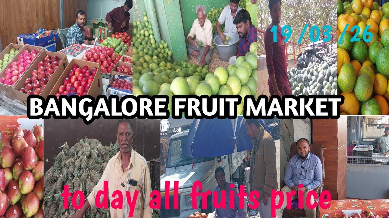 BANGALORE FRUIT MARKET  || to day all fruits price  ||aaj ka savi phal ka price 