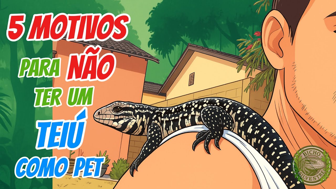 Pet Teiú: 5 Motivos para NÃO ter um teiú de estimação