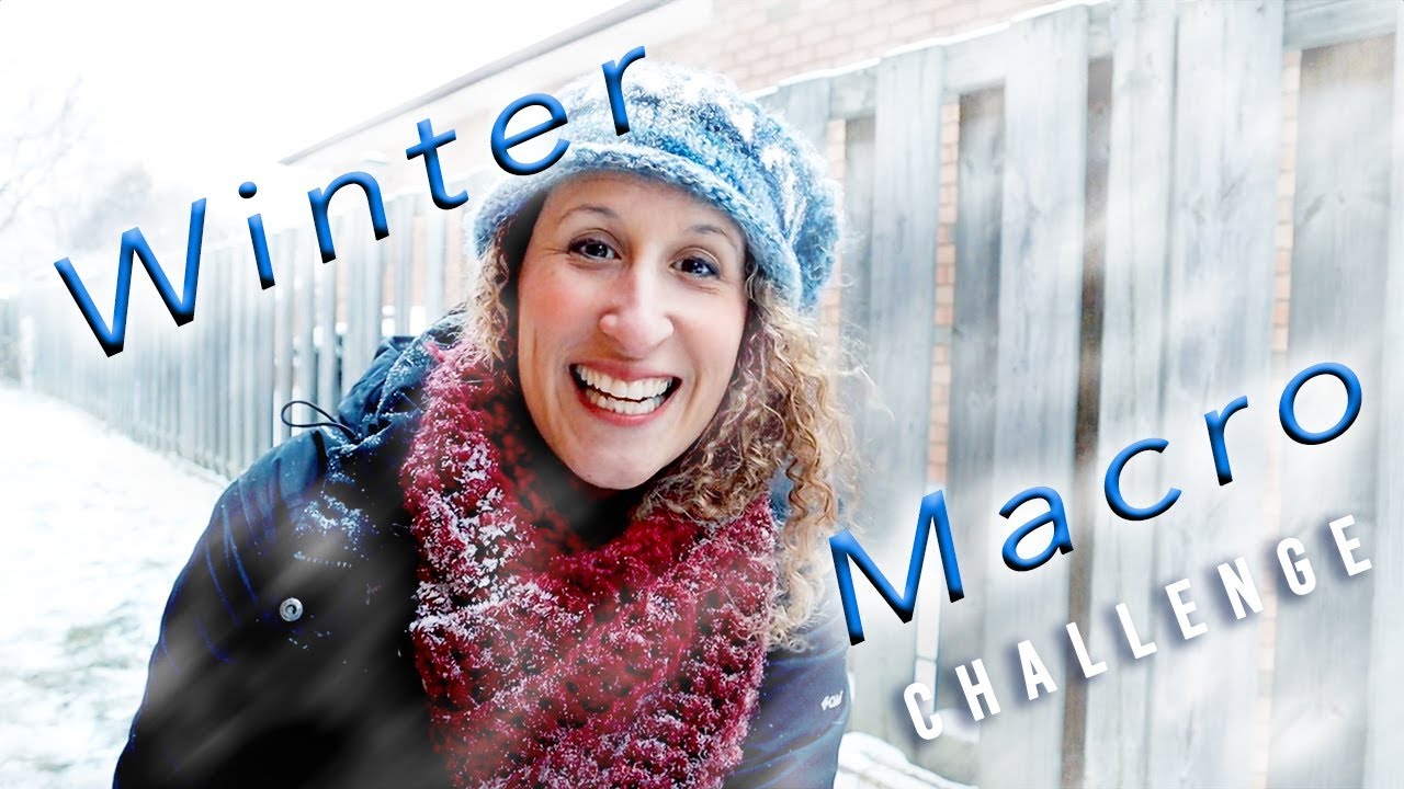 Winter Macro Challenge: Landscape Photography