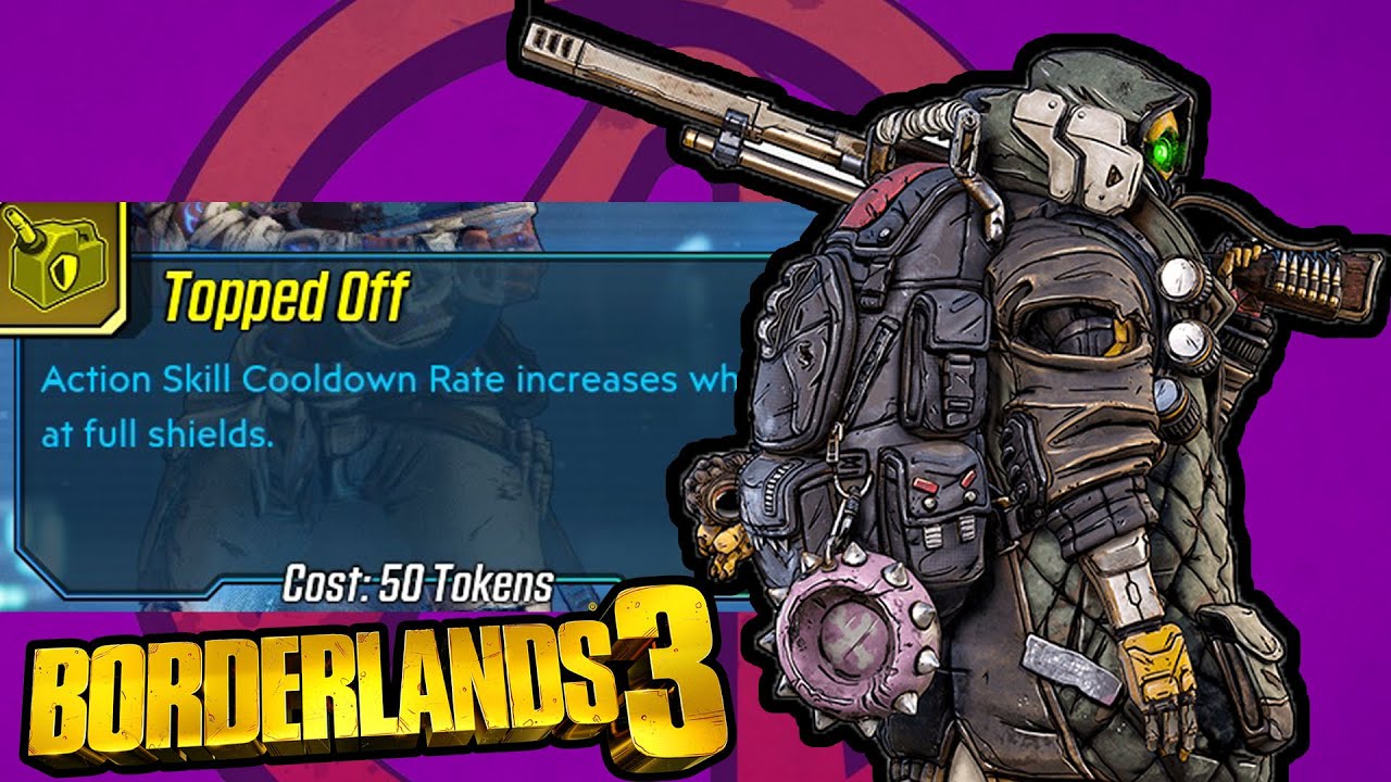 Action Skill Cool Down Rate & Diminishing Returns (Borderlands 3)