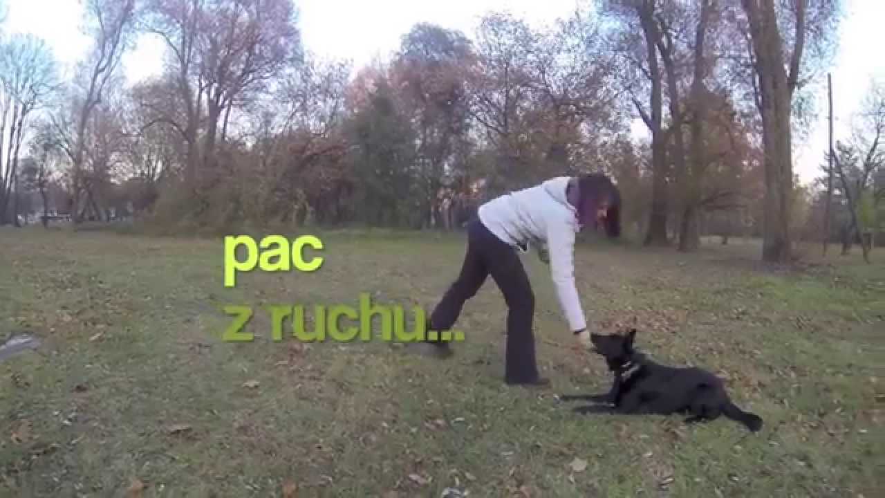 Pac czyli szybkie warowanie