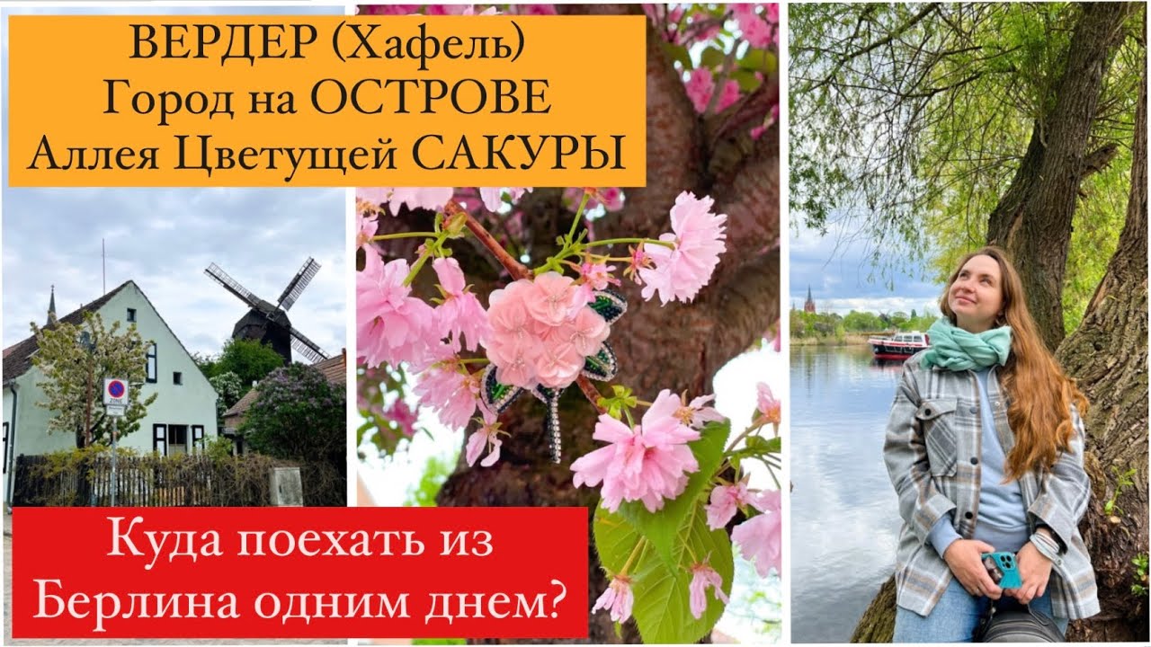 WERDER (Havel). ВЕРДЕР. Цветущая САКУРА. Город На ОСТРОВЕ. Куда Поехать Из БЕРЛИНА ОДНИМ ДНЕМ?
