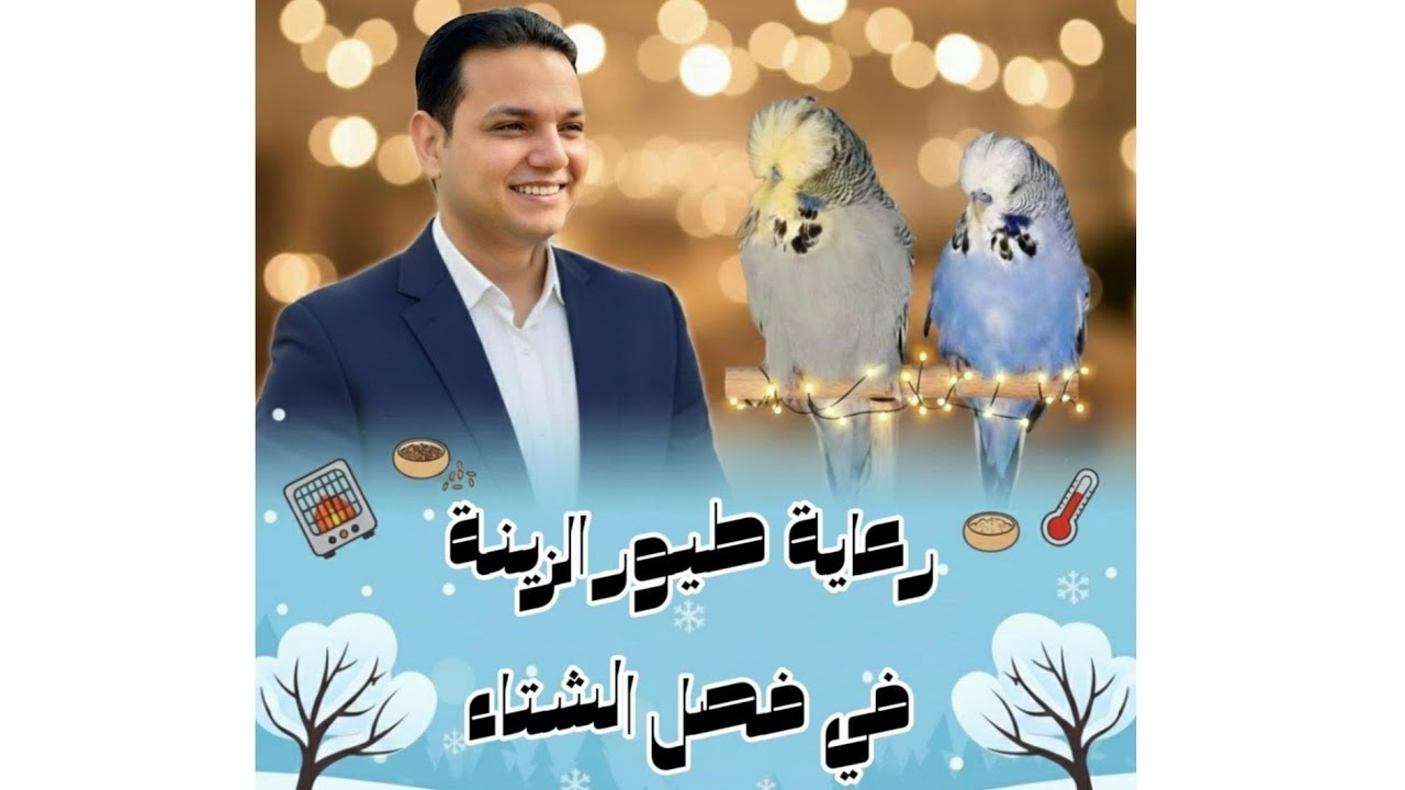 أحذر من الشتاء علي طيورك ( رعاية طيور الزينة في فصل الشتاء مع المهندس محمد المشد)