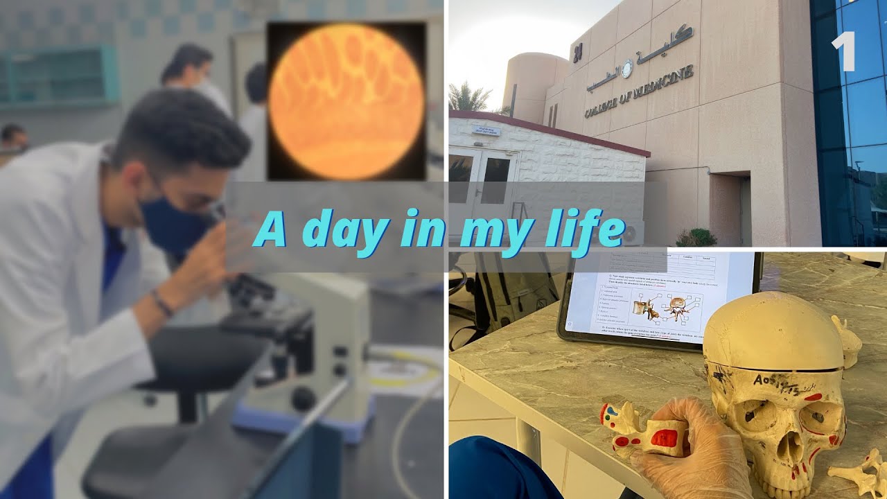 A Busy Day in my life as a 1st year Med student | يوم في حياتي كطالب طب