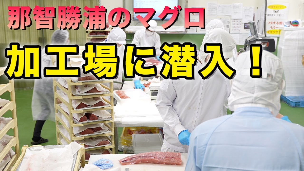 マグロの加工場に潜入！美味しいマグロが食卓に届くまで（令和3年度国産農林水産物等販路多様化緊急対策事業）