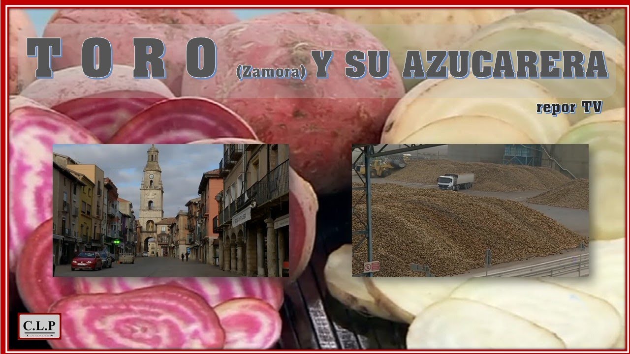 Toro (Zamora) y su azucarera, repor TV