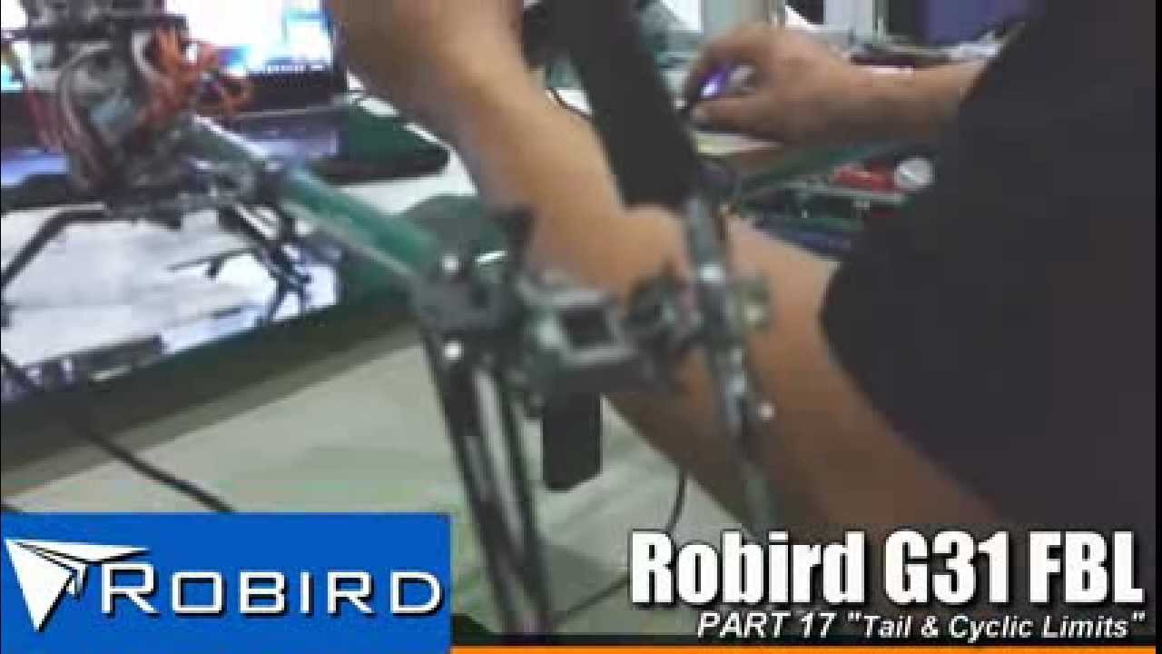 Robird G31 FBL Setup - Tail Travel Limits & Cyclic Ring