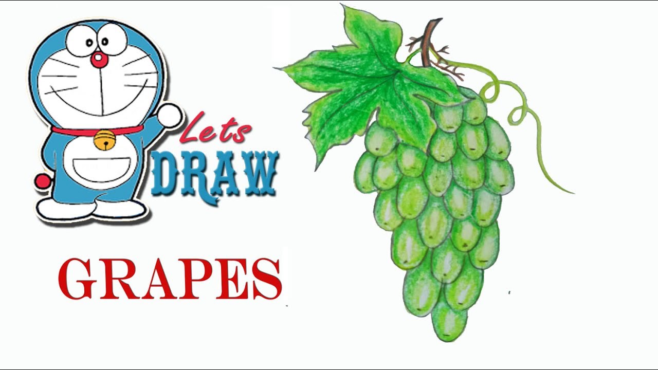 How to draw grapes step by step (very easy) || art video