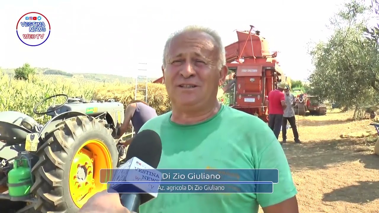 Trebbiatura Az. Agricola Giuliano Di Zio