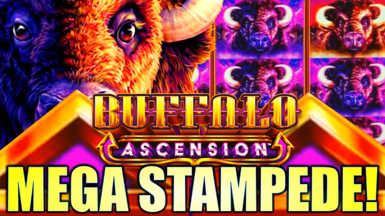 ★MEGA STAMPEDE!★ HUGE WIN!! BUFFALO ASCENSION 🦬 Slot Machine (Aristocrat Gaming)