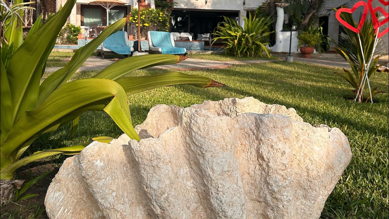 Discover The Maji Boutique Hotel; A true Paradise in Diani Beach! 