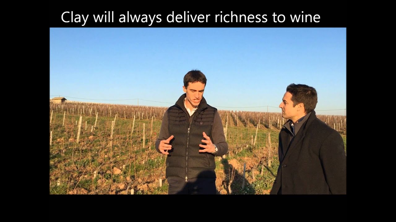 Nick's Wine Journal - Moulin A Vent, Beaujolais