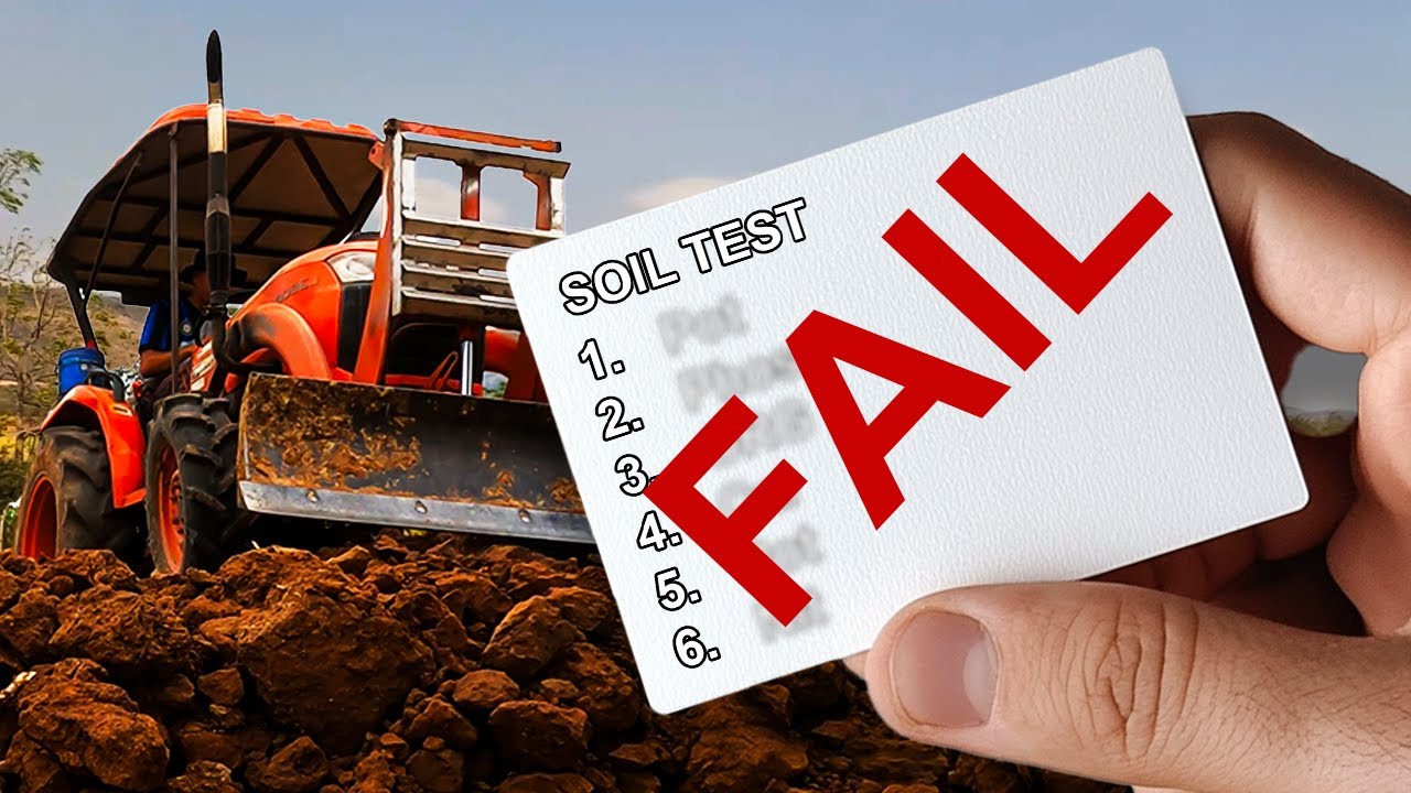 7 Serious Soil Issues Caused by Monoculture Farming (You Probably Have Them Too!)