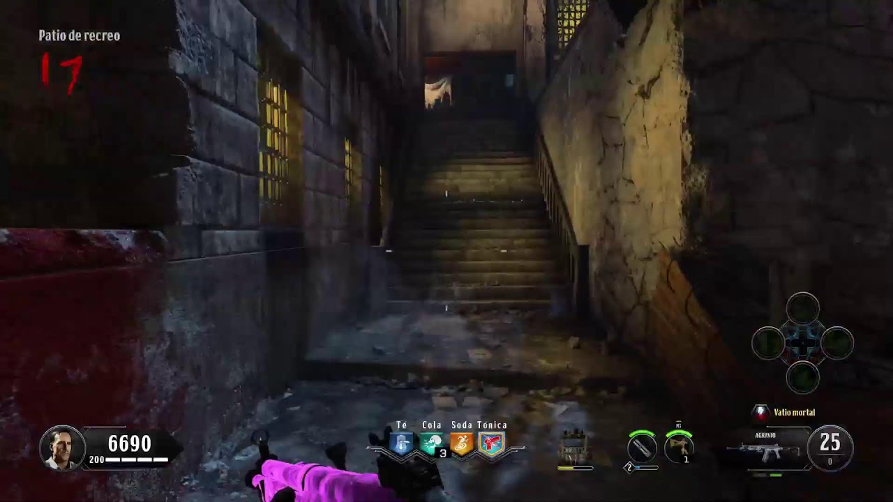 HACIENDO RONDAS EN BO4 ESTENOSECAE